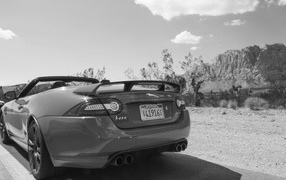 Черно белое фото автомобиля Jaguar