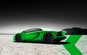 Green Lamborghini on a gray ground