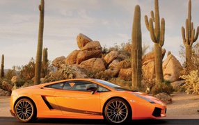 Orange Lamborghini on a background of cacti