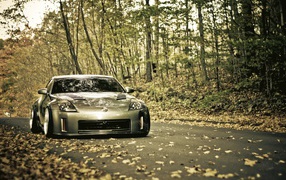 Gray Nissan 350Z on the road autumn