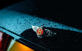 Знак на мокром автомобиле