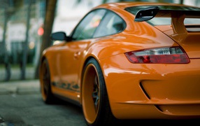 Orange Porsche, rear view