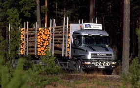Scania tractor driven forest