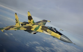 Самолет с маскировочным окрасом