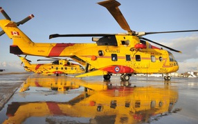 Желтые вертолеты в Канаде