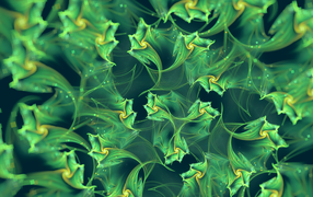 Абстрактный фон, зеленые фракталы