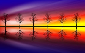 Голые деревья на фоне красочного заката