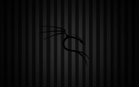 Черный фон Kali Linux