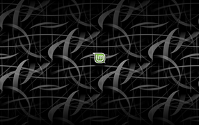 Черный фон Linux Mint