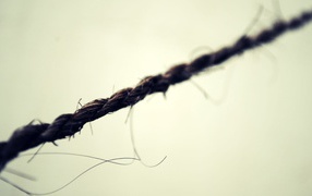 Черная веревка на белом фоне