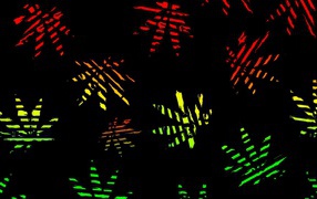 Яркие листья, черный фон