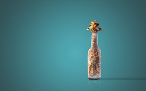 Жираф в бутылке