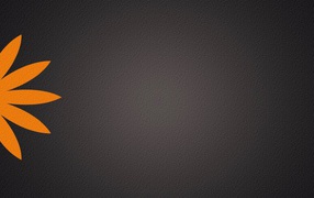 Серый фон, оранжевый цветок