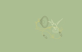 Колибри поет, серый фон