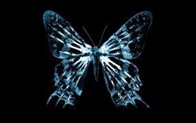 Неоновая фигура бабочки