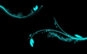 Неоновые цветы на черном фоне