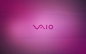 Розовый фон Вайо