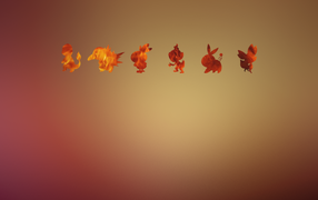 Покемоны, оранжевый фон