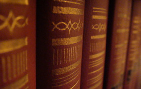 Корешки книг