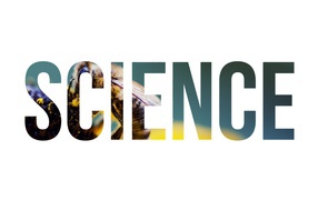 Надпись Наука на фоне пчелы