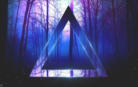 Треугольник на фоне веток