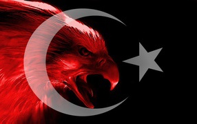 Турецкий красный орел