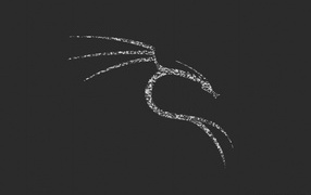 Белый дракон Kali Linux NetHunter