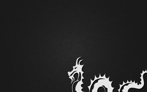 Белый дракон, черный фон