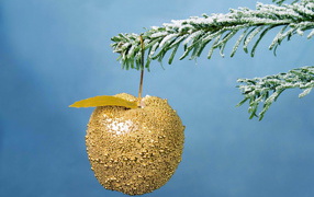 Golden Apple on the tree