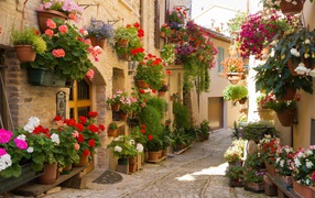 Blooming Umbria, Italy