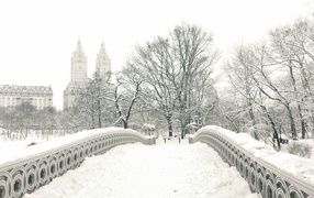 Мост в центральном парке Нью-Йорка