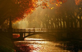 Королевская аллея. Дюссельдорф, Германия