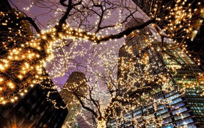 Предновогодний Чикаго США