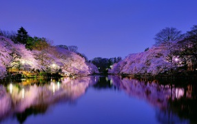 Парк в Осаке, Япония