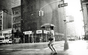 Дождь на 5-й Авеню. Нью-Йорк