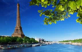 Река в Париже весной