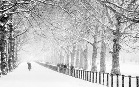 Сент-Джеймс Парк, Лондон