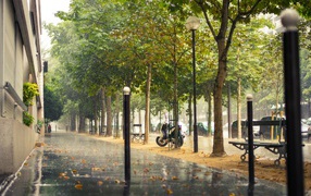 Улица Парижа во время дождя