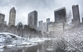 Деревья покрыты инеем в Центральном парке Нью-Йорка