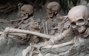 Археологические раскопки древнего захоронения