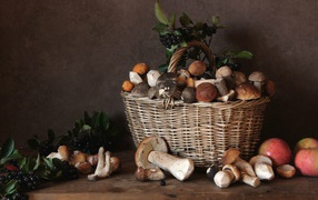 Basket with autumn fruits