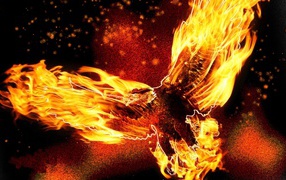 Птица орел в огне