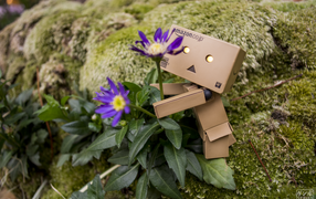 Дандо обнимает цветок