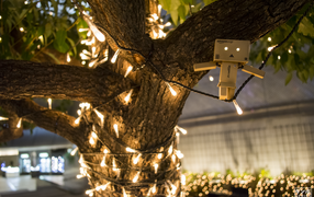 Дандо на гирлянде