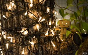 Дандо на дереве