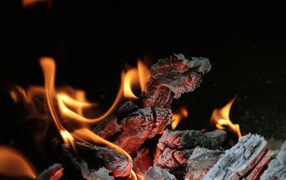Раскаленные угли костра