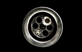 Цветок вместо пули в револьвере