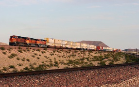 Грузовой поезд перевозит контейнеры