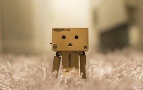 Японский Данбору кун