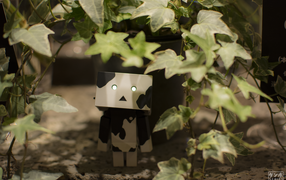 Японский Дандо под листьями